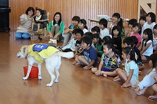 ガンバレ介助犬、JA共済はたらくワンワンランド